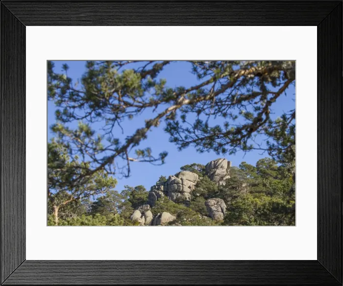 Framed Print : Picture No. 11674790 Framed Print : Picture No. 11674790