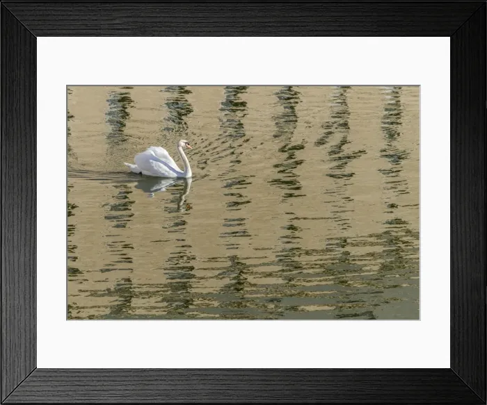 Framed Print : Picture No. 11674804 Framed Print : Picture No. 11674804