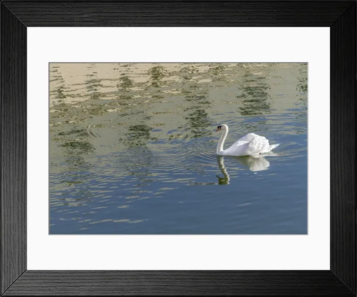 Framed Print : Picture No. 11674805 Framed Print : Picture No. 11674805