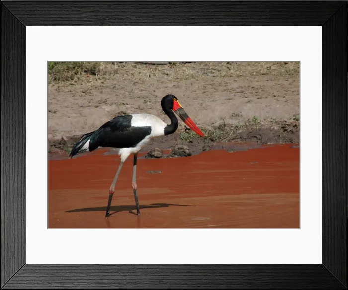 Framed Print : Picture No. 11674937 Framed Print : Picture No. 11674937