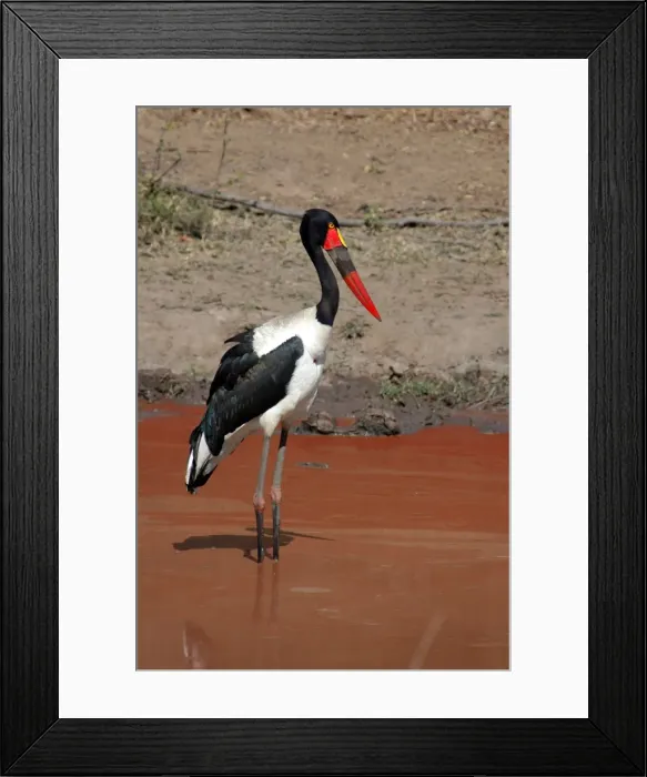 Framed Print : Picture No. 11674938 Framed Print : Picture No. 11674938