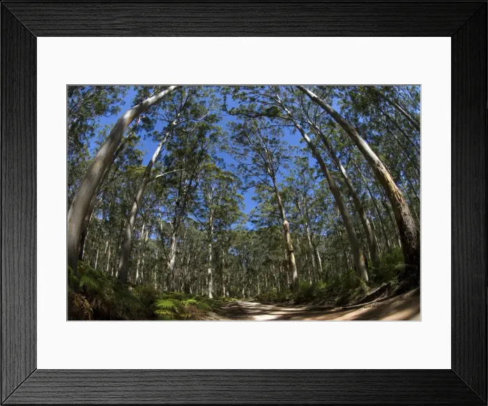 Framed Print : Picture No. 11674960 Framed Print : Picture No. 11674960