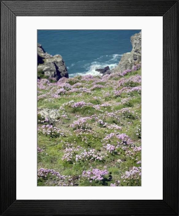 Framed Print : Picture No. 11674976 Framed Print : Picture No. 11674976