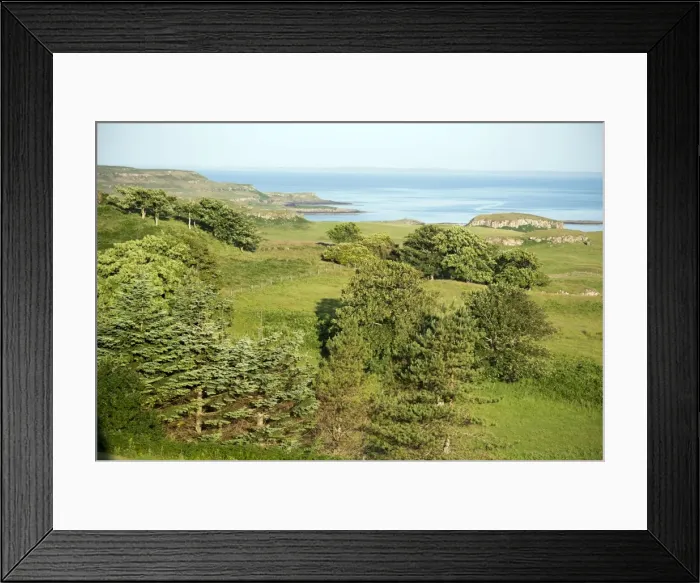 Framed Print : Picture No. 11674980 Framed Print : Picture No. 11674980