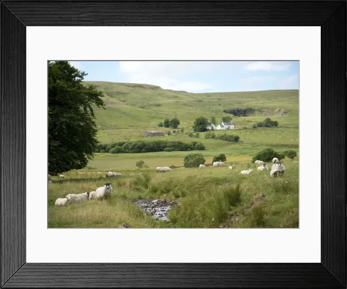 Framed Print : Picture No. 11674982