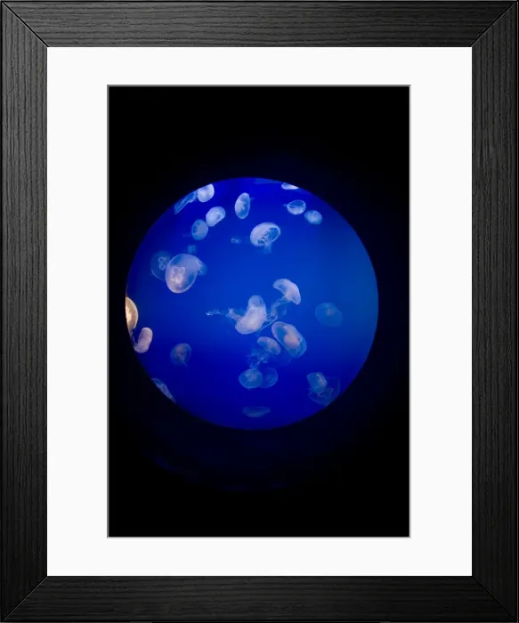 Framed Print : Picture No. 11674986 Framed Print : Picture No. 11674986