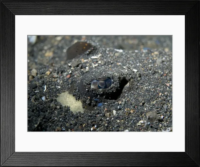 Framed Print : Picture No. 11675055 Framed Print : Picture No. 11675055