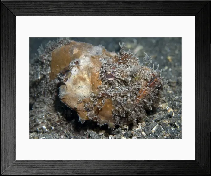 Framed Print : Picture No. 11675056 Framed Print : Picture No. 11675056