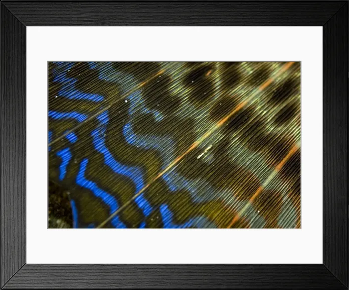 Framed Print : Picture No. 11675075 Framed Print : Picture No. 11675075