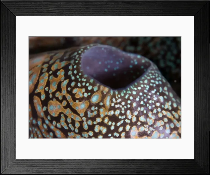 Framed Print : Picture No. 11675093 Framed Print : Picture No. 11675093