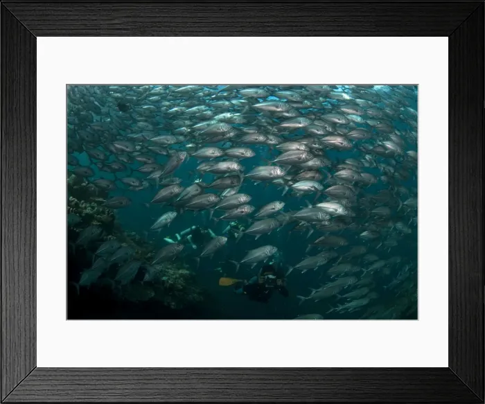 Framed Print : Picture No. 11675105 Framed Print : Picture No. 11675105