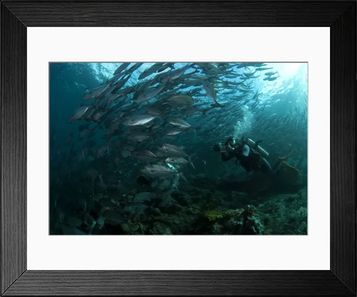 Framed Print : Picture No. 11675106 Framed Print : Picture No. 11675106