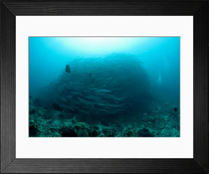 Framed Print : Picture No. 11675143 Framed Print : Picture No. 11675143