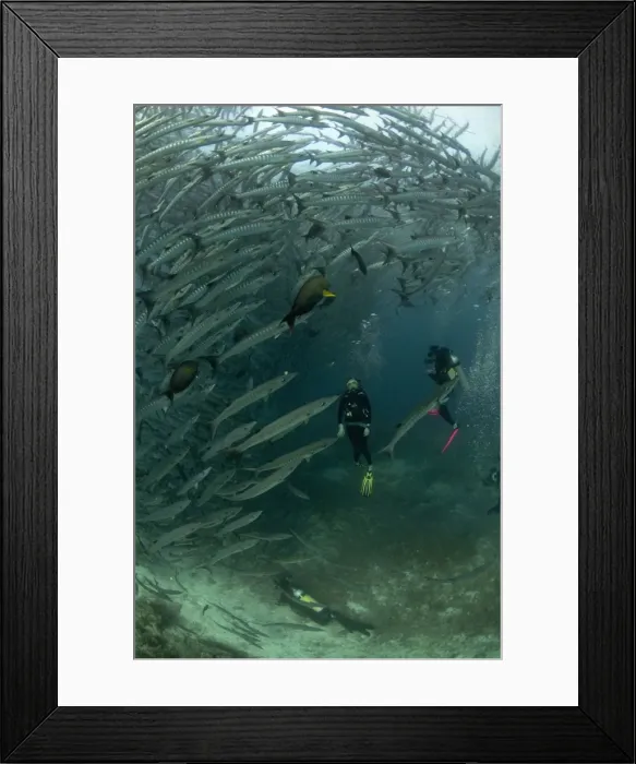 Framed Print : Picture No. 11675152 Framed Print : Picture No. 11675152