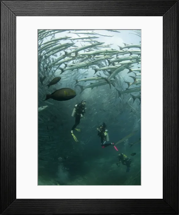 Framed Print : Picture No. 11675153 Framed Print : Picture No. 11675153