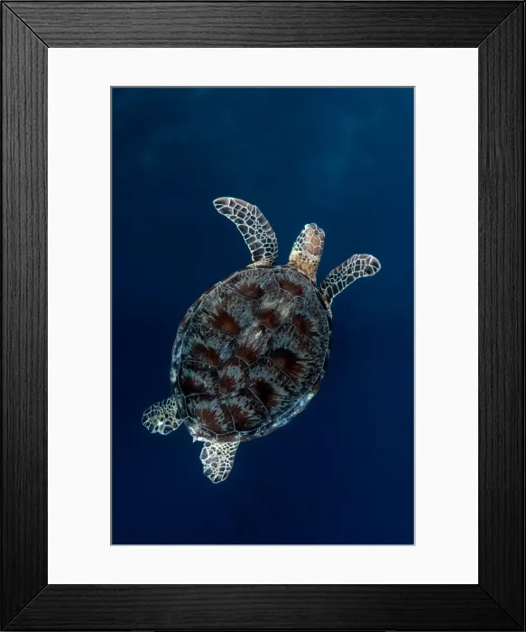 Framed Print : Picture No. 11675160 Framed Print : Picture No. 11675160