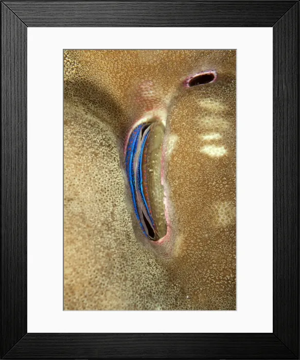 Framed Print : Picture No. 11675202 Framed Print : Picture No. 11675202