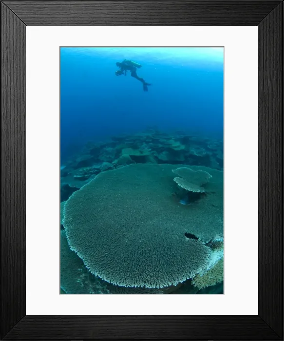 Framed Print : Picture No. 11675221 Framed Print : Picture No. 11675221