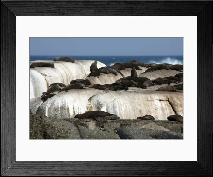 Framed Print : Picture No. 11675235 Framed Print : Picture No. 11675235