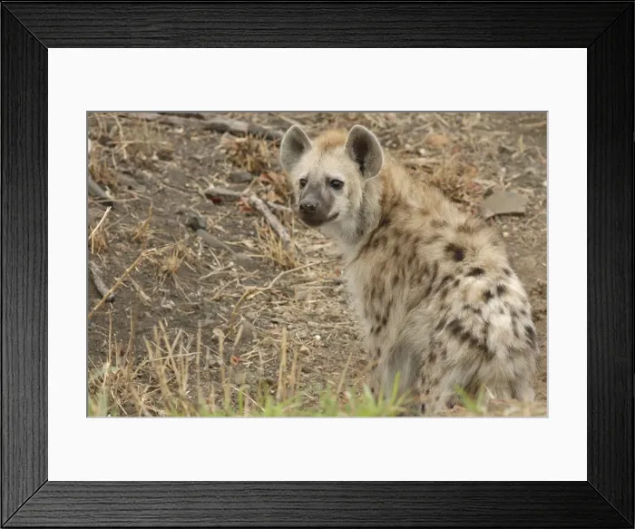 Framed Print : Picture No. 11675241 Framed Print : Picture No. 11675241