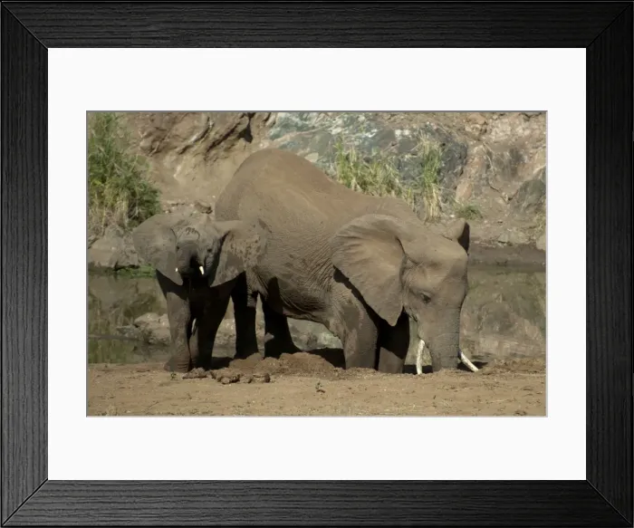 Framed Print : Picture No. 11675274 Framed Print : Picture No. 11675274