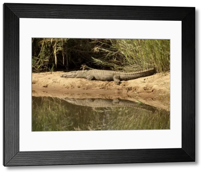 Framed Print : Picture No. 11675276 Framed Print : Picture No. 11675276