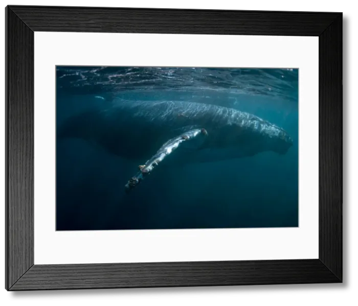 Framed Print : Picture No. 11675287 Framed Print : Picture No. 11675287