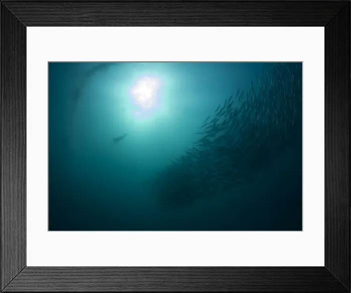 Framed Print : Picture No. 11675297 Framed Print : Picture No. 11675297