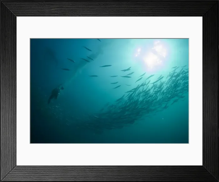 Framed Print : Picture No. 11675301 Framed Print : Picture No. 11675301
