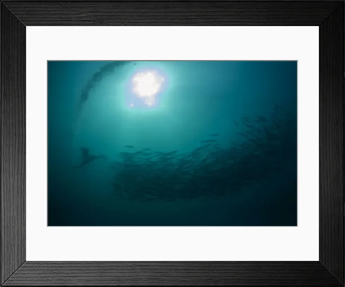 Framed Print : Picture No. 11675304 Framed Print : Picture No. 11675304