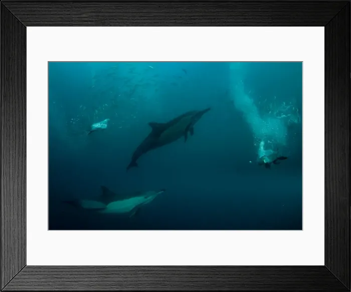 Framed Print : Picture No. 11675307 Framed Print : Picture No. 11675307