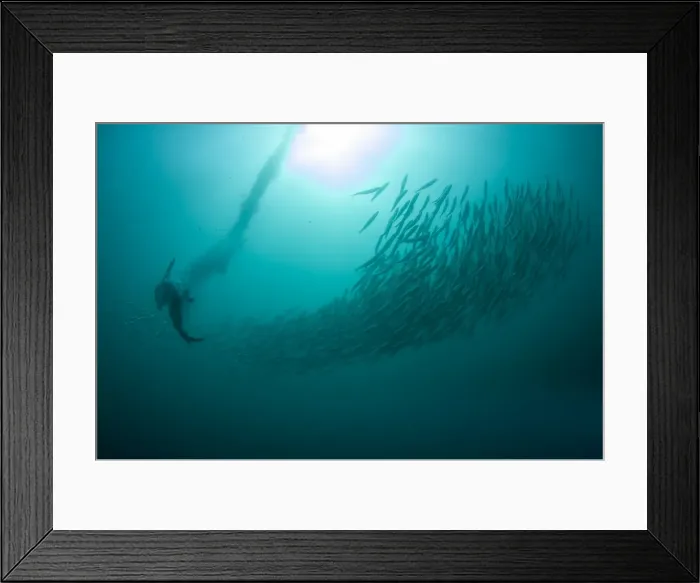 Framed Print : Picture No. 11675309 Framed Print : Picture No. 11675309