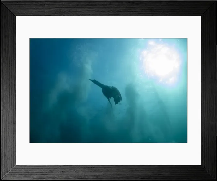 Framed Print : Picture No. 11675319 Framed Print : Picture No. 11675319