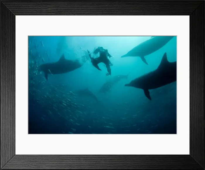 Framed Print : Picture No. 11675320 Framed Print : Picture No. 11675320