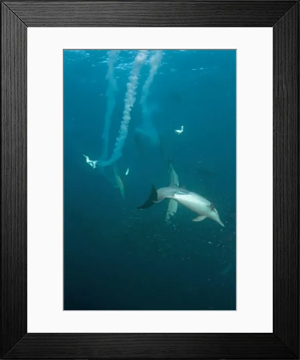 Framed Print : Picture No. 11675324 Framed Print : Picture No. 11675324