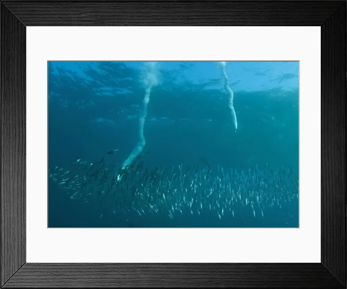 Framed Print : Picture No. 11675327 Framed Print : Picture No. 11675327