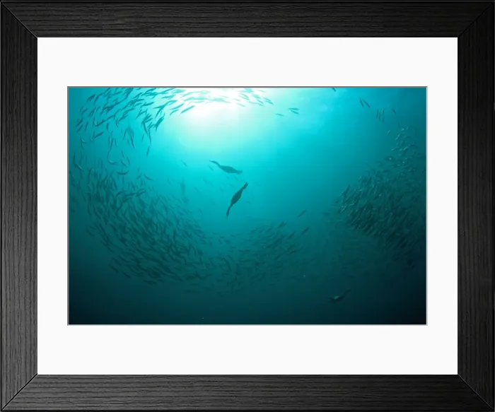 Framed Print : Picture No. 11675330 Framed Print : Picture No. 11675330