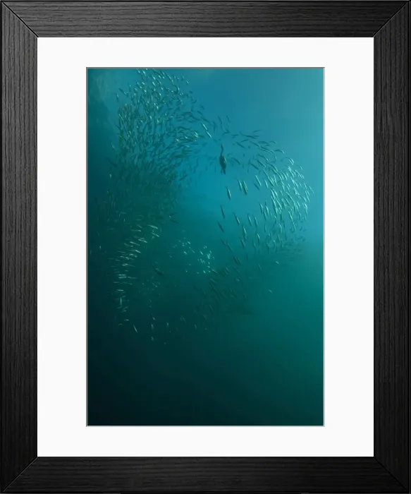 Framed Print : Picture No. 11675333