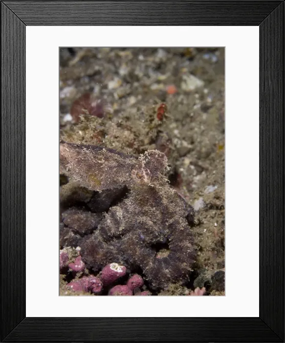Framed Print : Picture No. 11675343 Framed Print : Picture No. 11675343