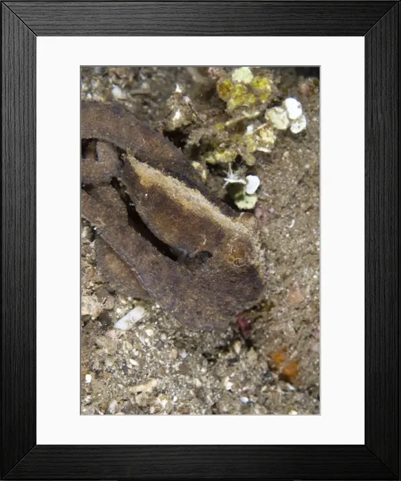 Framed Print : Picture No. 11675344 Framed Print : Picture No. 11675344