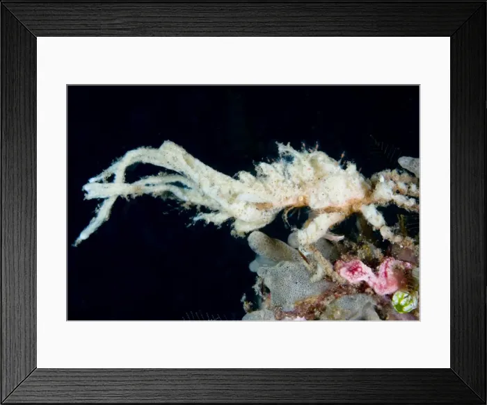 Framed Print : Picture No. 11675348 Framed Print : Picture No. 11675348