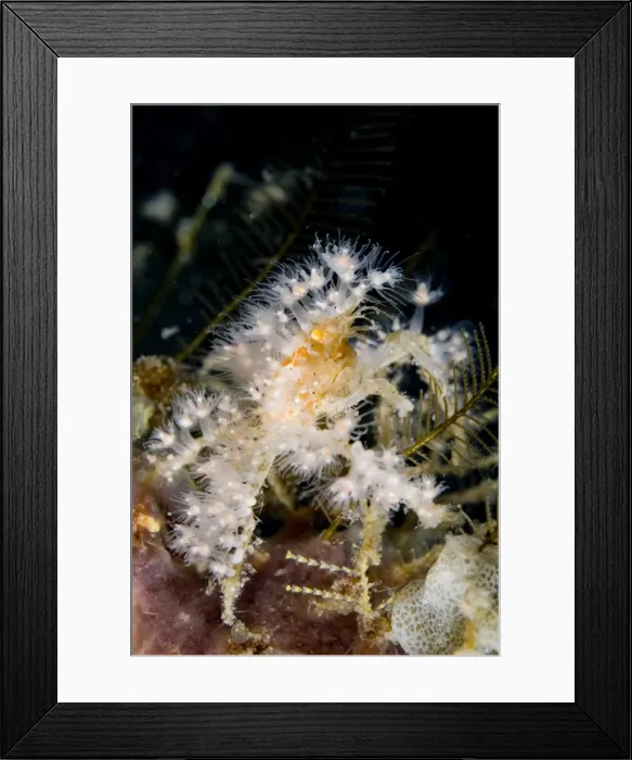 Framed Print : Picture No. 11675347 Framed Print : Picture No. 11675347