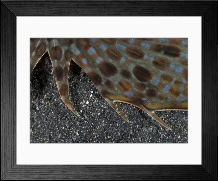 Framed Print : Picture No. 11675356 Framed Print : Picture No. 11675356