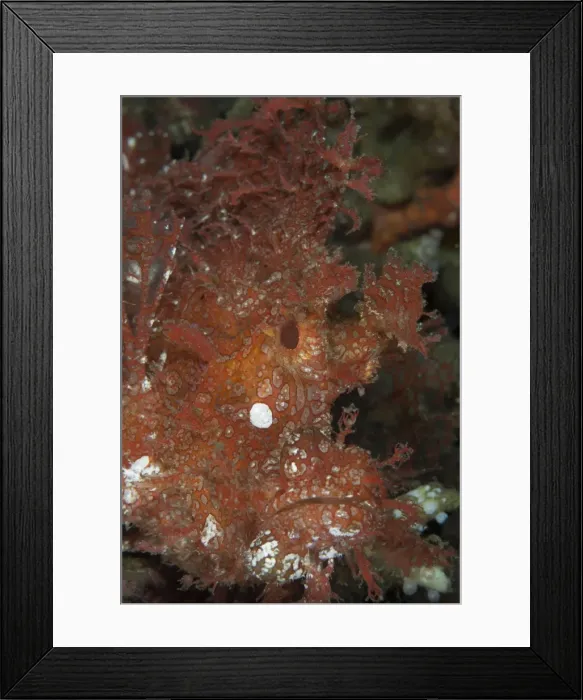 Framed Print : Picture No. 11675362 Framed Print : Picture No. 11675362