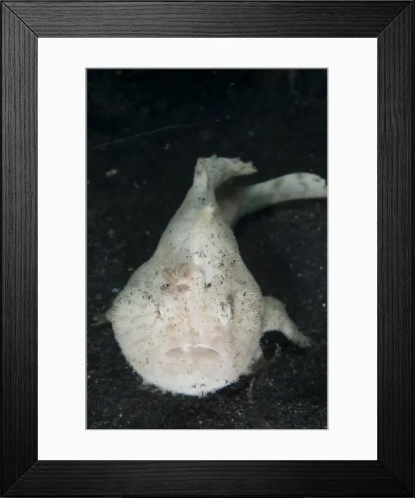 Framed Print : Picture No. 11674869 Framed Print : Picture No. 11674869