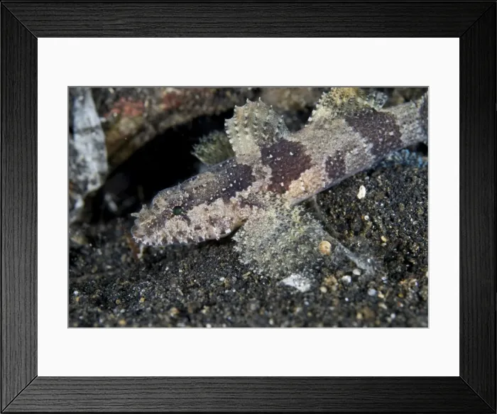 Framed Print : Picture No. 11674870 Framed Print : Picture No. 11674870