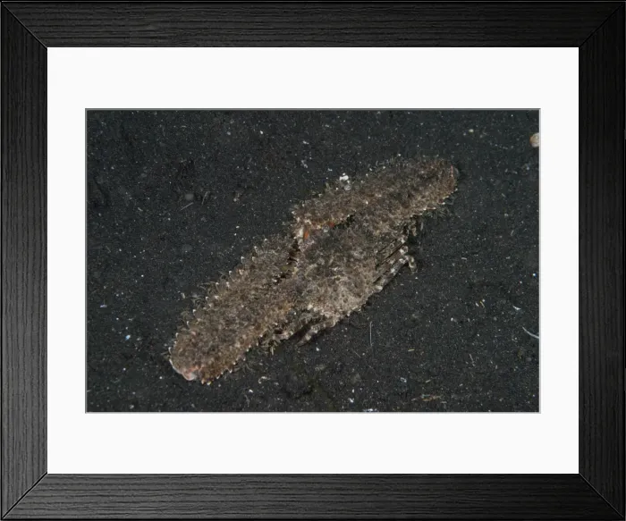 Framed Print : Picture No. 11674873 Framed Print : Picture No. 11674873