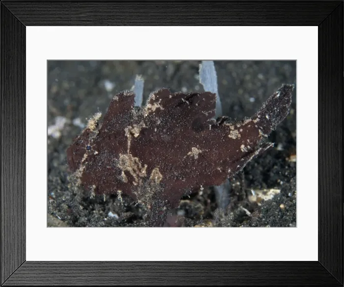 Framed Print : Picture No. 11674871 Framed Print : Picture No. 11674871