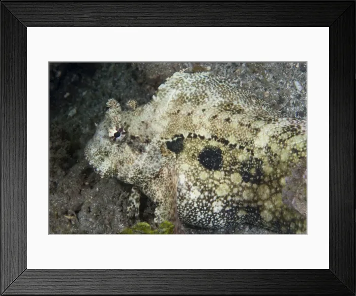Framed Print : Picture No. 11674877 Framed Print : Picture No. 11674877