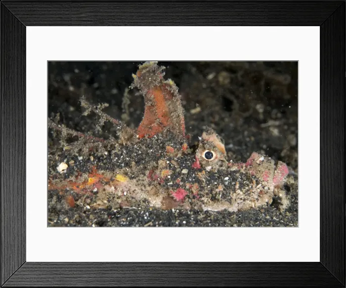 Framed Print : Picture No. 11674884 Framed Print : Picture No. 11674884
